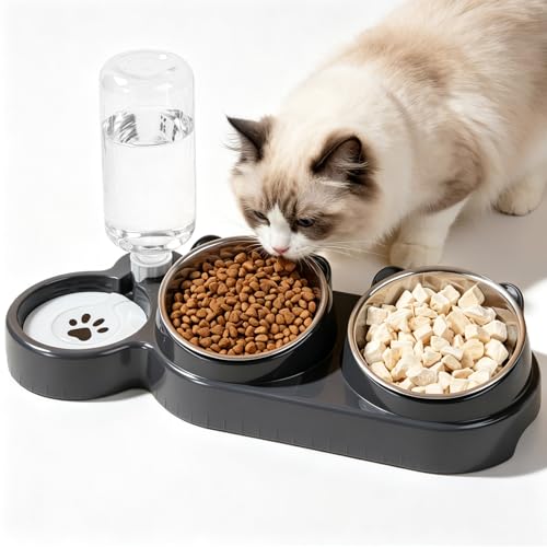 GOMETY Set di 3 ciotole per gatti 3 in 1, inclinabili a 15°, in acciaio inox, doppia ciotola per gatti con erogatore d'acqua automatico, per gatti e cani di piccola taglia, con mangiatoia rimovibile