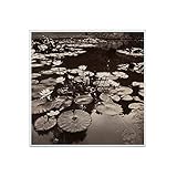 Décoration unique et originale pour votre intérieur, que ce soit pour habiller un mur ou les disposer sur un présentoir