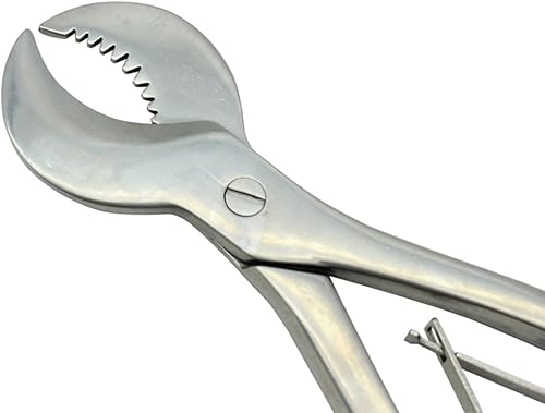 Miniatura 4 de Tijeras dentales de yeso Equipo técnico Alicates de corte de yeso de acero inoxidable grande