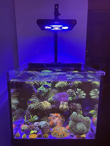 Hipargero A100 Aquarium Lights-100 Watt 5 Channels Sunrise Sunset Moonlight Reef Lights For Corals Sps Lps Saltwater Tank thumb #3