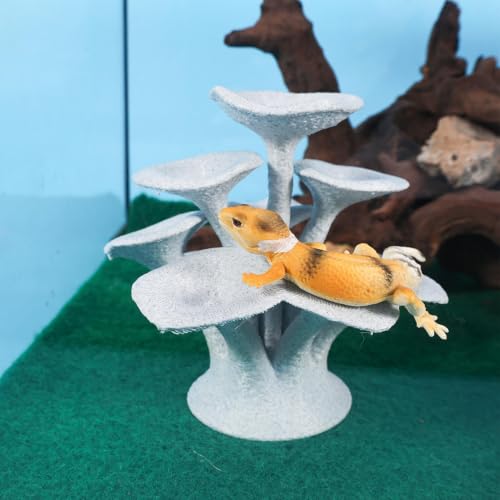 Plataforma de hongo para reptiles en tanques de tarántulas y arañas 4