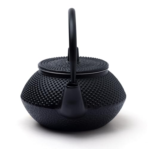 Image of Mayukh Tea - Authentic Premium Cast Iron Teapot - Elegant, Durable & Perfect for Tea Brewing - 300ml Capacity