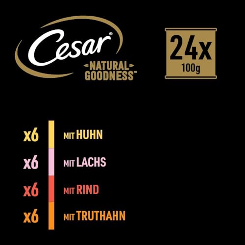 Cesar Natural Goodness Premium Hunde Nassfutter in der Schale 4 Varietäten in Sauce in Terrine Megapack 24x100g