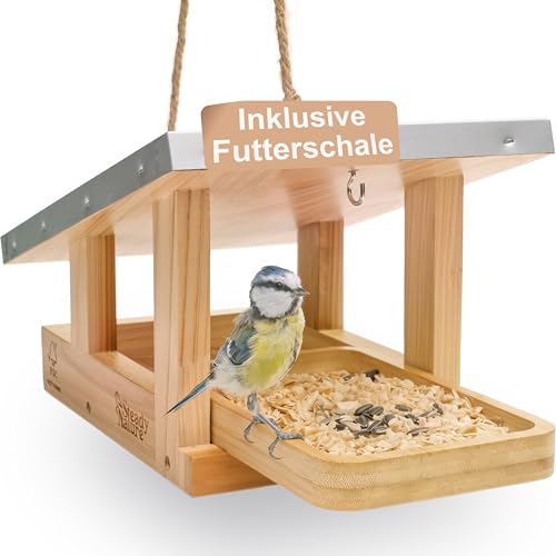 Steady Nature Vogelhaus zum Aufhängen mit Futterschale - Vogelfutterhaus Holz I Futterhaus für Vögel - Vogelhäuser für draußen - Bird Feeder Vogelfutterhäuschen Futtervogelhaus Vogelhäuschen kaufen Steady Nature Vogelhaus zum Aufhängen mit Futterschale - Vogelfutterhaus Holz I Futterhaus für Vögel - Vogelhäuser für draußen - Bird Feeder Vogelfutterhäuschen Futtervogelhaus Vogelhäuschen kaufen