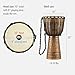 Meinl Percussion Djembe Drum African Hand Drum Instrument for Adults — NOT MADE IN CHINA — Mahogany Wood/Natural Head 10