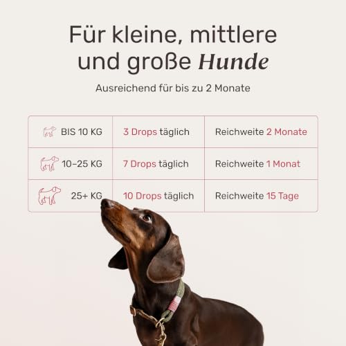mammaly Präbiotika Darmflora-Drops mit Lamm für Hunde (200 Drops) – Ansicht 4