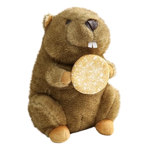 Oreillers avec figurines cadeau de Noël et Saint-Valentin