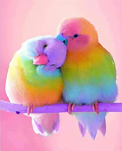 Cukolcal 5dダイヤモンドアートネコビーズ キット 動物る可愛い かわいい猫ダイヤモンド アート絵画愛すアートダイアモンドアートだいあもんどあーとフルダイヤモンド円形 ビーズアート手芸キット大人子供diamond paintingダイヤモンドペインティングダイアモンド アートアートビーズダイアモンドペインティング