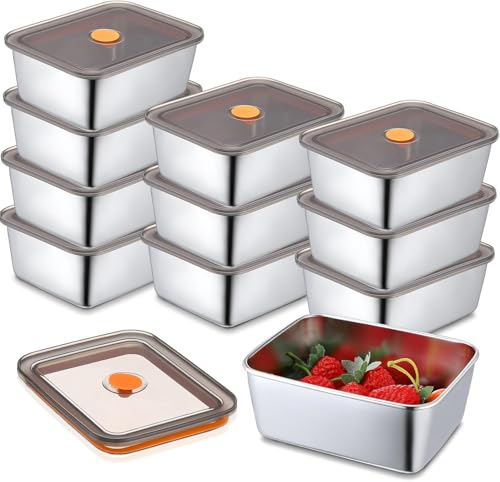 Suruid 10 PCS Stainless Steel Food Containers with Lids Metal Marinating Snack Containers Box for Lunch, Leftovers, Dishwasher & Freezer Safe 18oz(532ML)
