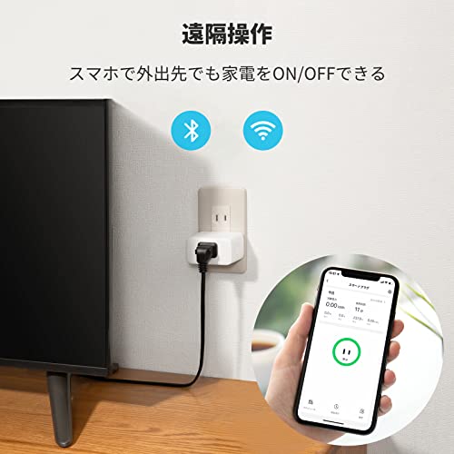 プラグミニのサイズ感