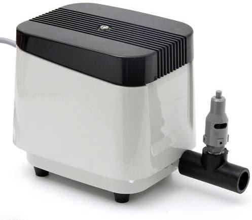 ID 963436 ハイアール お買い得品 4.5Kg 2019年製 JW-C45CK