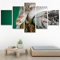 SIGNWIN 5 Panel Canvas Wall Art Coiling Around for Home Decorations Ready to Hang - 60