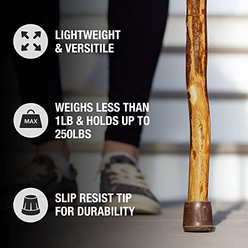 image for Brazos Rustic Wood Walking Cane, Hardwood, Knob Root Style Handle, for
