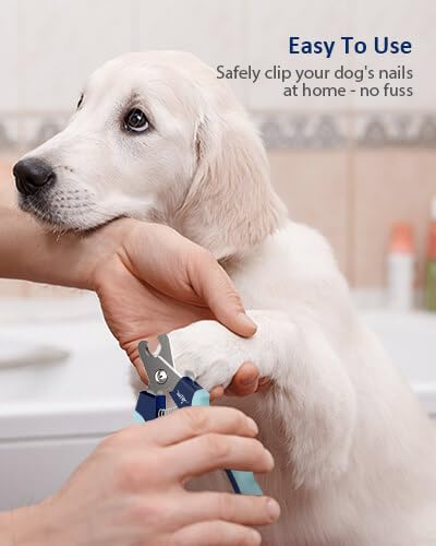 WePet Dog Nail Clippers U10.1, Dog Nail Trimmer Large Breed with Quick Sensor, Razor Sharp Blade Professional Pet Nail Clipper with Safety Guard and Nail File, Pale Turquoise