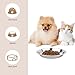 5 Stück Katzennäpfe Edelstahl, 15 cm Futternapf Katze für Katzen mit Breiten Schnurrhaaren Surefeed Futterschale Trinknapf Katze Napf Katze-Fressnapf Hundenapf Kleine Hunde, für Katzen Kleine Hunde