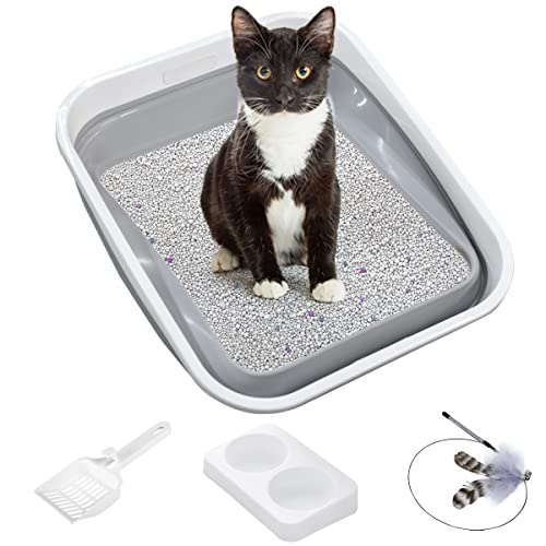 The Purrfect Extra Large Litter Box for Senior Cats