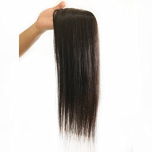 Qdhjhh Long Silk Base Human Hair Topper Clip In 5X5 Virgin Straight Hair Topper Hairpieces 100% Real Human Hair Topper 12X13Cm (10Inch, Natural Color) #TOP3