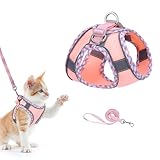 Brifit Katzengeschirr mit Leine Ausbruchsicher, Hundegeschirr Kleine Hunde mit Reflektierenden Streifen, Brustgeschirr für Katze Welpen Verstellbar Softgeschirr [Rosa, XXS] Anwendbares Gewicht: 2-3kg