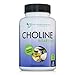 High Quality Choline - 500 mg - 100 Veggie Capsules - by Doctor Recommended Supplements - Supports Cognitive Health, Memory & More