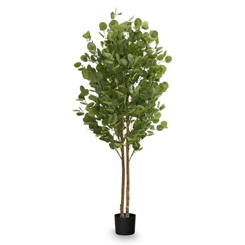 MAIA SHOP Eucalipto artificiale 150 cm, pianta finta da interno con tronco naturale, albero decorativo realistico per casa ufficio hotel