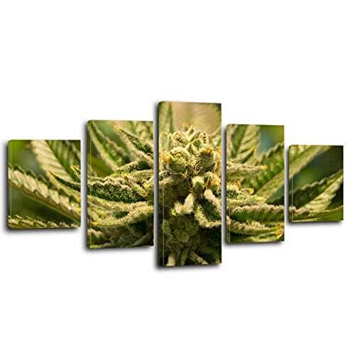 5 Piezas Material Tejido No Tejido ImpresióN 5 Piezas Cuadro Sobre Lienzo Imagen Arte de pared de lienzo de cannabis marihuana Cuadros Decoracion Salon Modernos Cuadros Abstractos Modernos 150