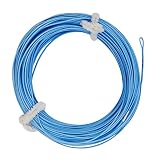 Fly Fishing Floating Line with Welded Loop Weight Forward Fly Lines 100FT (WF4F, Sky Blue)