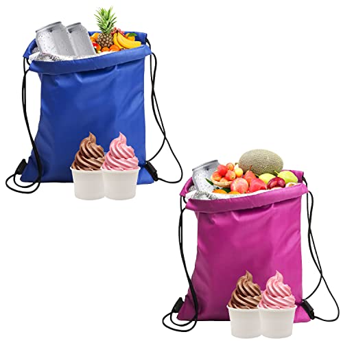 2er-Pack Isolierte Lunch-Taschen mit Kordelzug, wasserdichte faltbare Lunch-Taschen, Isolierung, Kühltaschen, Lunch-Taschen für Arbeit, Schule, Strand, Picknick (27 x 33 cm)