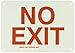 Brady 90947 7" Height 10" Width, B-347 Plastic, Red On Green Color Glow-In-The-Dark Exit And Directional Sign, Legend "No Exit"