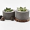Nicole Silicone Flower Pot Mold for Succulent Plants Concrete Candle Holder Mould