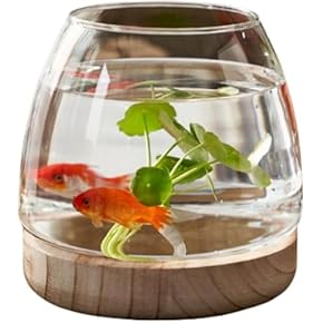金魚鉢 - Amazon.co.jp