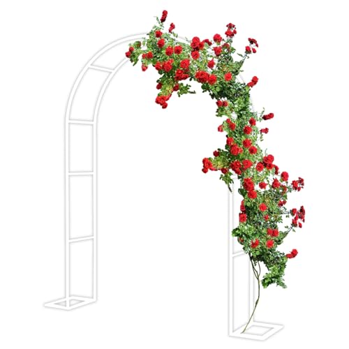 Arche de jardin en métal robuste avec base amovible pour plantes grimpantes