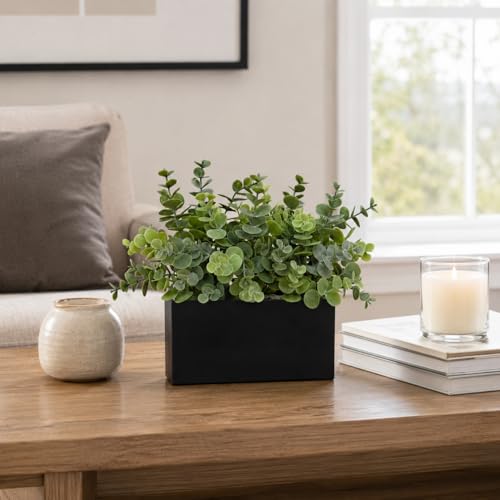 Eucalyptus artificiel noir avec pot rectangulaire deco maison interieur moderne