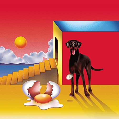 Dog And The Future