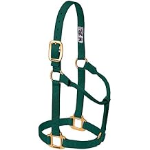 Weaver Leather Original Non-Adjustable Nylon Horse Halter, Weanling/Pony, Hunter Green
