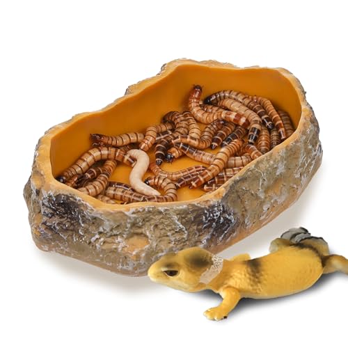 IBWell 5 Inch Reptile Food Dish Escape Proof Reptile Feeding Dish Resin Reptile Water Food Bowl for Bearded Dragon Chameleon Frog Snake Turtle Leopard Gecko
