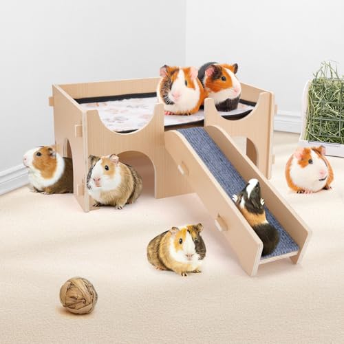 Madeira de esconderijo de porquinho-da-índia, esconderijo de madeira de porquinho-da-índia, casa com