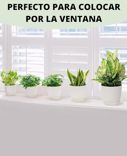 Macetas, Home Imagen adicional