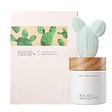 Round A'ROUND Cactus Diffuser (Honey Green) | Fragrances Reed Diffuser, Cute Shaped Design with Ligh