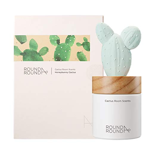 Round A'round Cactus Diffuser (Honey Green) | Fragrances Reed Diffuser, Cute Shaped Design With Light, Bilberry, Clean, Green, Refreshing Scent For House, Home, Office 3.37 Fl.oz. 100Ml #TOP3