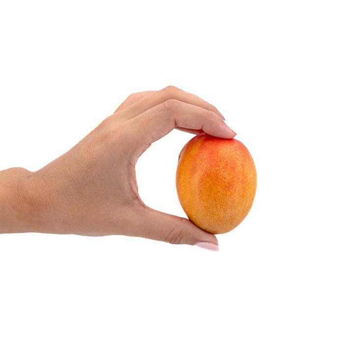 Mini Mango Irwin 1 kg, La Parcela, Origen España, Andalucía (Costa Tropical), Comprar Mango Fresco, De La Huerta A Tu Casa, Producto de Cooperativa Granada La Palma