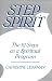 Step Spirit: The 12 Steps As a Spiritual Program