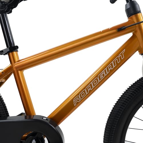 Image of ROADGIANT Showstopper, 20 T, Kids Bicycle, Single Speed, Steel Frame Cycle, Ideal for 6+ Year, Unisex, 20-inch, Dual Colour, Black (Orange)