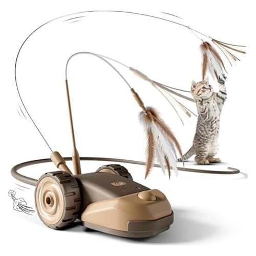 Jouet interactif pour chat et jeux interactifs chaton enrichissement intérieur