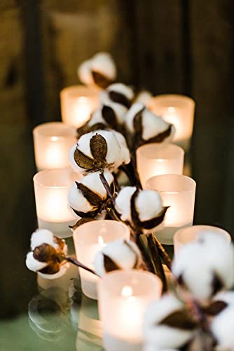 Set of 144 Frosted Glass Eastland Votive Candle Holders