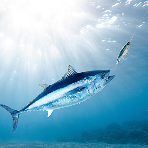 Alwonder Sinking High Speed Trolling Fishing Lure, 5.9In Saltwater Casting Twitch Bait Jerkbait With #7/0 Hook, Large Size Hard Bait Offshore Trolling Fishing Billfish, Dorado, Tuna, Wahoo #TOP5