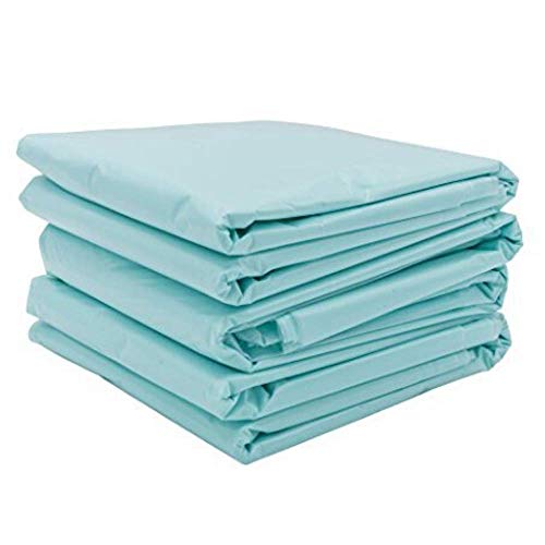 chi-enterprise Hygiene-Beutel für Detox-Fußbäder, 30 Stk, Schutz vor Verfärbung & Ablagerung, Passend für BioEnergiser & Mehr, 40x78 cm