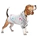 LeerKing Hundepullover Fleece Pullover Hoodie Pyjama Flauschiger Katzenpullover für kleine mittelgroße Hund Französische Bulldogge Kleidung Dackel Chihuahua L