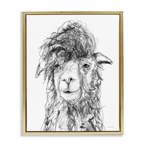 Smiling Alpaca Llama Scribble, 16 x 20 Inch Canvas in Floater Frame