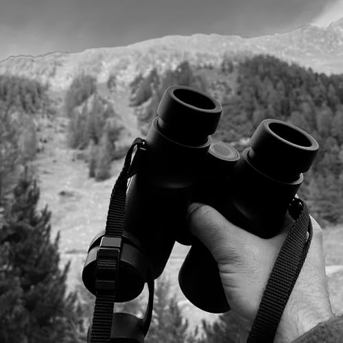 Le Br&acirc;me du cerf &agrave; la Tzoumaz : "A la d&eacute;couverte des beaut&eacute;s cach&eacute;es du Vallon d'Arbi"