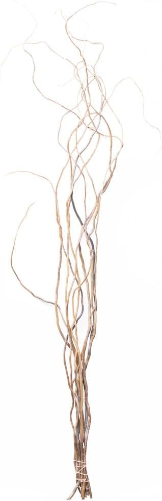 Richland Natural Curly Willow Branches 3'-4' Bundle Set of 6